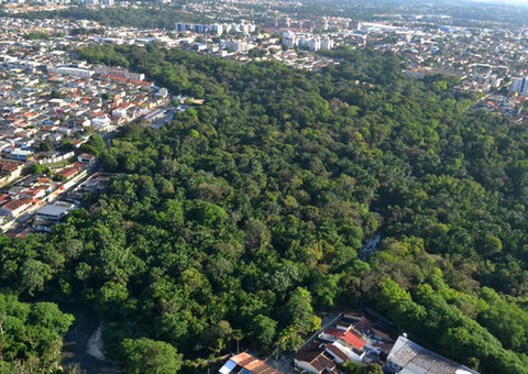 Ao menos 20 adolescentes estão perdidos na floresta da Reserva Ducke