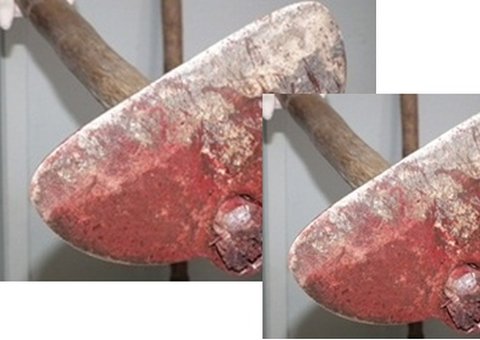 Em Manaus, líder de invasão é morto com enxadadas na cabeça