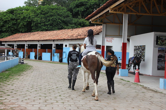 equoterapia_policia_militar_dpe-_img_3576.jpg