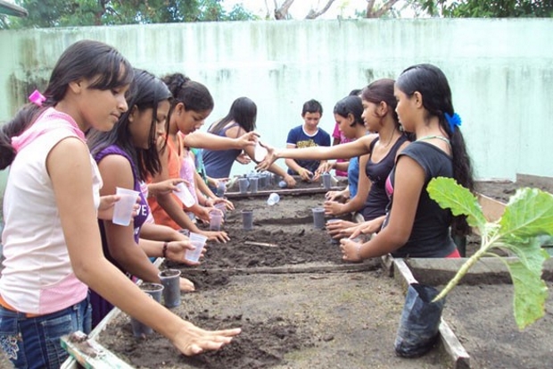 “Escola Verde: Educação com os Pés na Terra” é destacado na CMM
