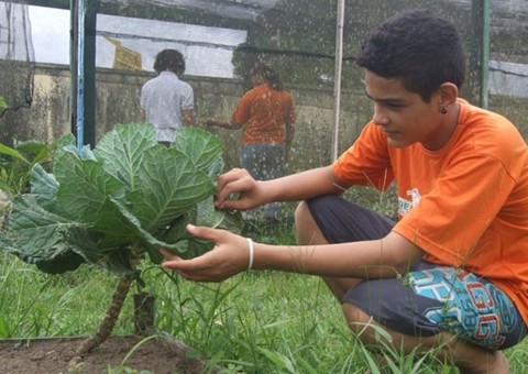 “Escola Verde: Educação com os Pés na Terra” é destacado na CMM