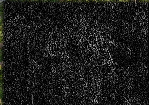 Amor impede mulher de denunciar marido agressor. E acaba morrendo