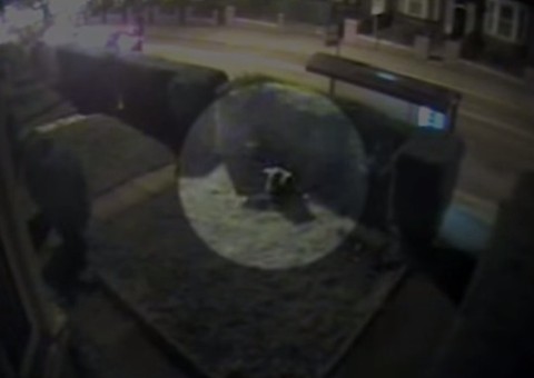 Jovem estuprada libera vídeo do crime para encontrar estuprador