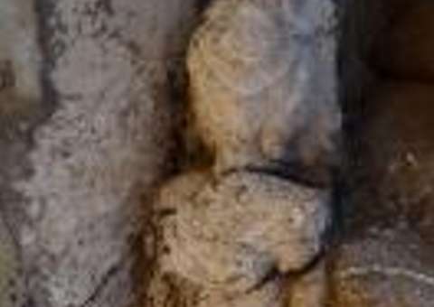 Estátua de filha de faraó é descoberta no Egito