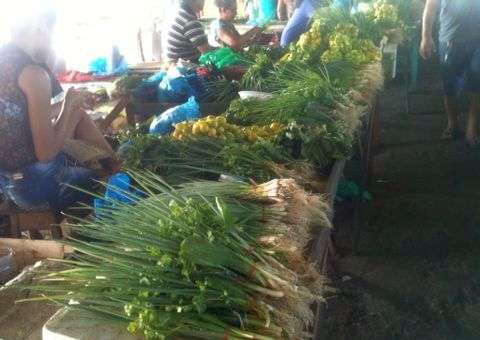 Enchente no interior causa preocupação na Aleam