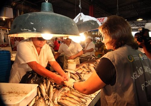 Feirantes da Compensa recebem blitz de orientação