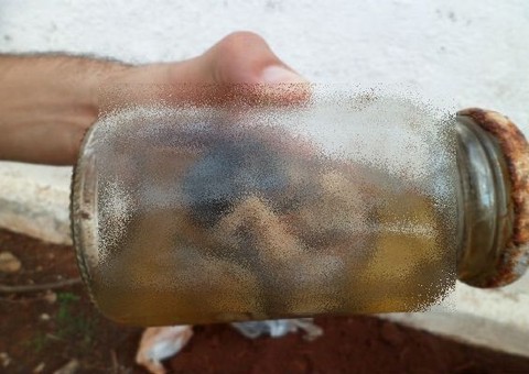 Caso de aborto em Manaus termina no IML com descoberta de traição