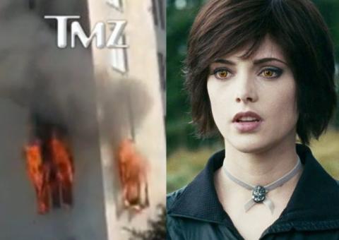 Apartamento da atriz de crepúsculo pega fogo e cachorro morre