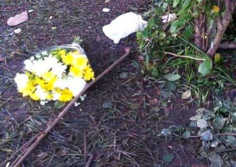 Começam homenagens às vítimas do acidente com ônibus executivo