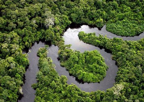 Amazonas leva experiência de preservação a encontro internacional