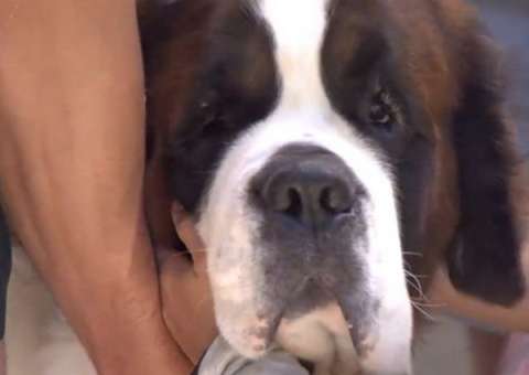 Uma visita pra lá de fofa