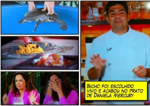 Fantástico usa morte de tartaruga de Manaus para alavancar audiência