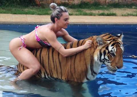 Juju Salimeni encara o desafio de nadar com um tigre