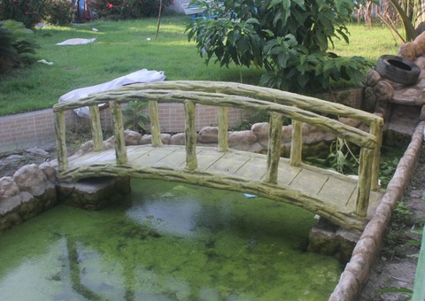 Serviços gerais morre afogado em piscina no Distrito Industrial 