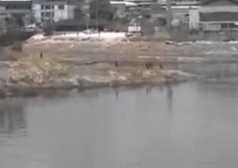 Polícia frustra tentativa de fuga na Vidal Pessoa. Vídeo exclusivo mostra a ação