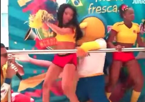 Fuleco e suas safadezas na Copa do Mundo