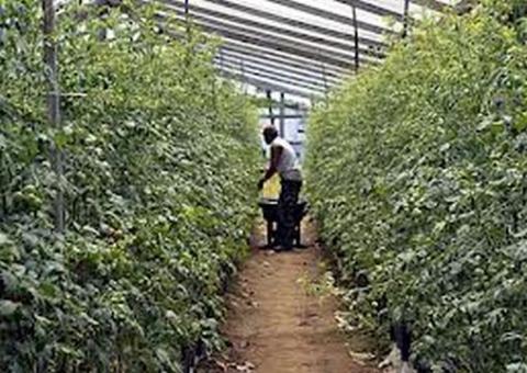 Plano de regularização fundiária pode ganhar recursos no orçamento