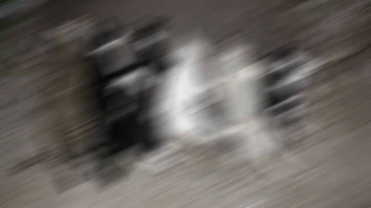 Moradora do mauazinho chega em casa e encontra 8 gatos mortos