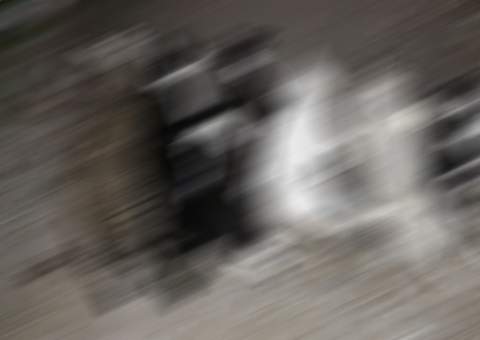 Moradora do mauazinho chega em casa e encontra 8 gatos mortos