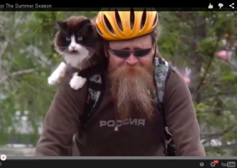 Conheça o gatinho que adora andar de bicicleta