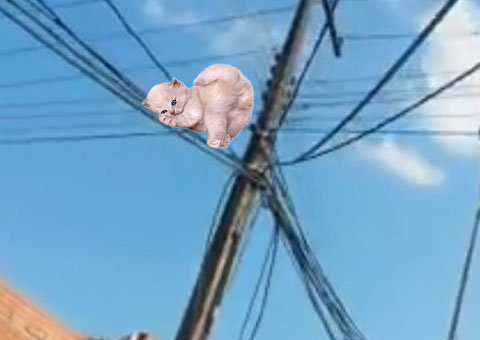 Manaus tem um novo tipo de "gato" de água: gato aéreo