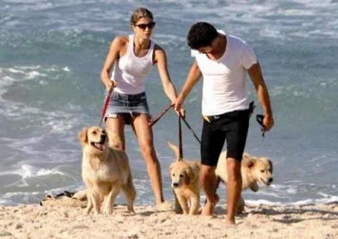 Grazi Massafera e Cauã Reymond brigam por guarda de cachorros