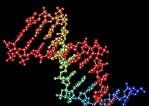   Pesquisador da Unicamp abordará genética molecular em palestra no Inpa
