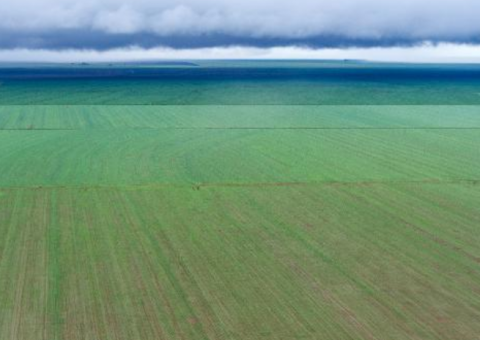 Cientistas brasileiros preparam agricultura para mudanças climáticas e pragas