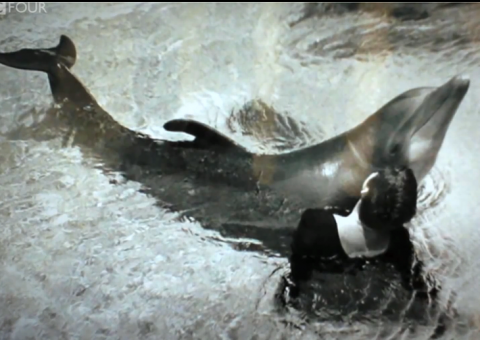  Mulher que fez sexo com golfinho revela detalhes de experimento da NASA