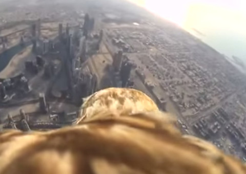 Confira o que a GoPro captou durante o salto da águia