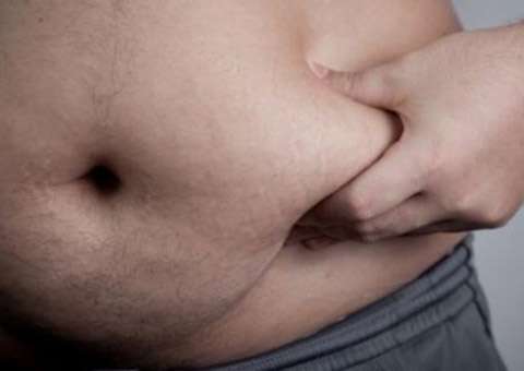 Pesquisadores descobrem novo gene 'gorducho'