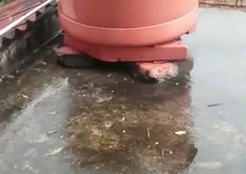 Chuva  de granizo surpreende moradores do Ajuricaba