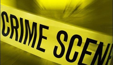 Americano guardava 50 gatos mortos no congelador