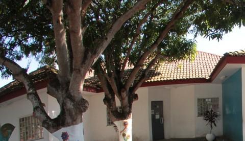 Homem é preso em flagrante por estupro