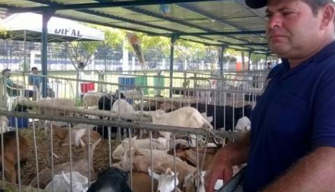 Com negócios de R$ 42 milhões, 40ª Expoagro bate recorde, diz secretário