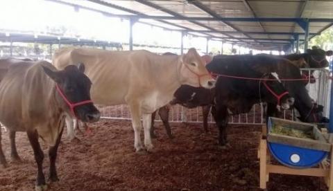 Amazonas Rural deslancha e alavanca setor primário em 2014, diz deputado