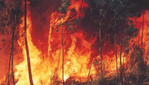 Governo destina verba para nova estrutura de combate a incêndios florestais