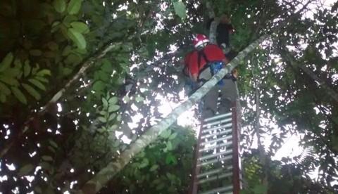 Bombeiros resgatam paraquedistas que caíram em mata do Cigs