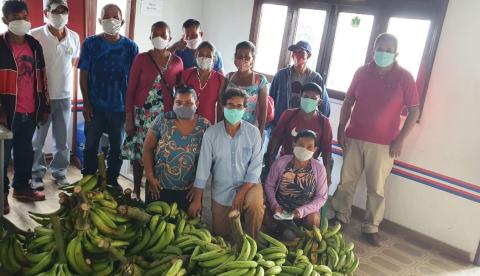 Amazonas: Pagamento a produtores rurais por compra de alimentos sai nesta segunda