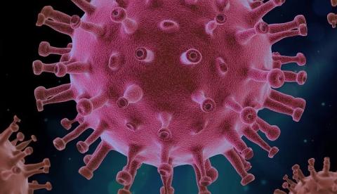 Barcelos atinge mil infectados pela Covid-19; interior tem 44.464 casos 