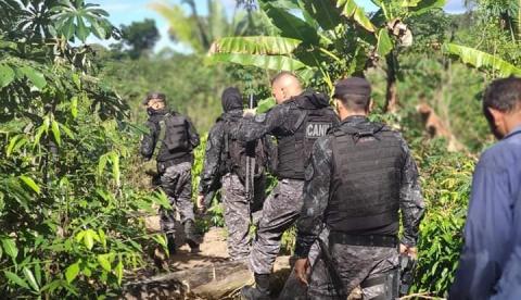 Bombeiros fazem buscas por homem que desapareceu ao entrar em mata no Amazonas 