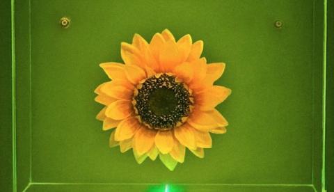 Casarão de Idéias realiza instalação poética inspirada em poema de Thiago de Mello