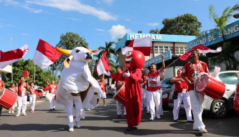Doadores de sangue terão pocket show do Bumbá Garantido nesta sexta-feira