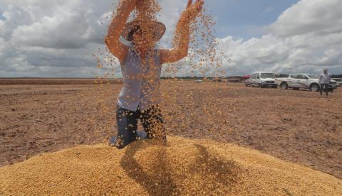 Produtor rural obtém financiamento de cooperativas de crédito no Amazonas