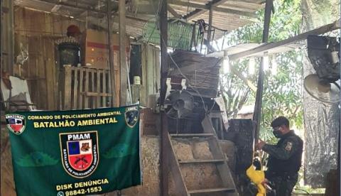 Com olhos perfurados, galos de rinha são resgatados em Manaus; dupla foi presa