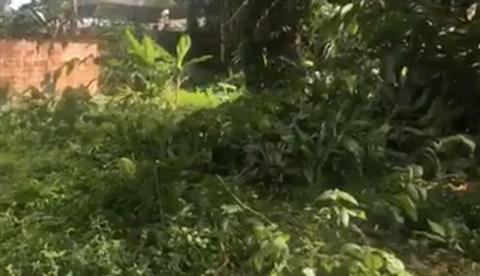 Decapitada, jovem é encontrada enterrada no Campo do Maroca em Manaus