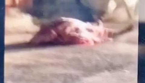 Dupla suspeita de integrar facção criminosa é assassinada por pistoleiros em Manaus 