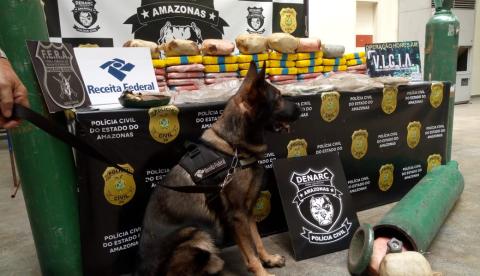 Polícia apreende 62 kg de drogas em bimotor no aeroclube de Manaus 