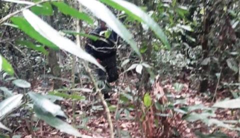 Suspeito de assalto é preso após fraturar perna durante fuga em Manaus