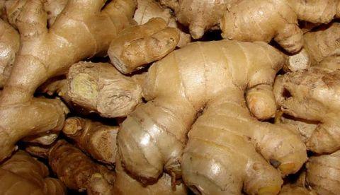 Estudos indicam potencial curativo do gengibre